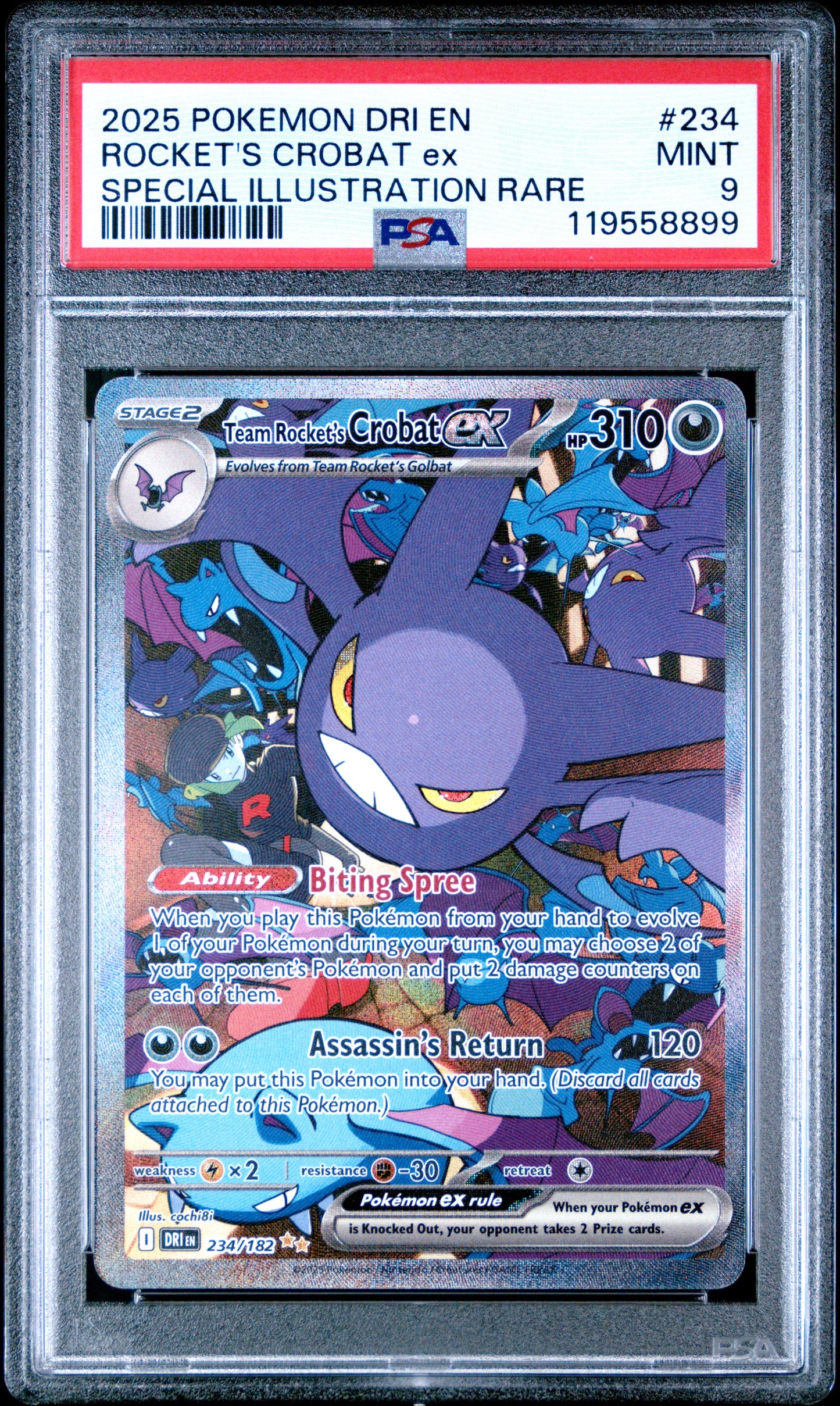 Pokemon - Mystery Bag ( Series 2 - 50 Bags )